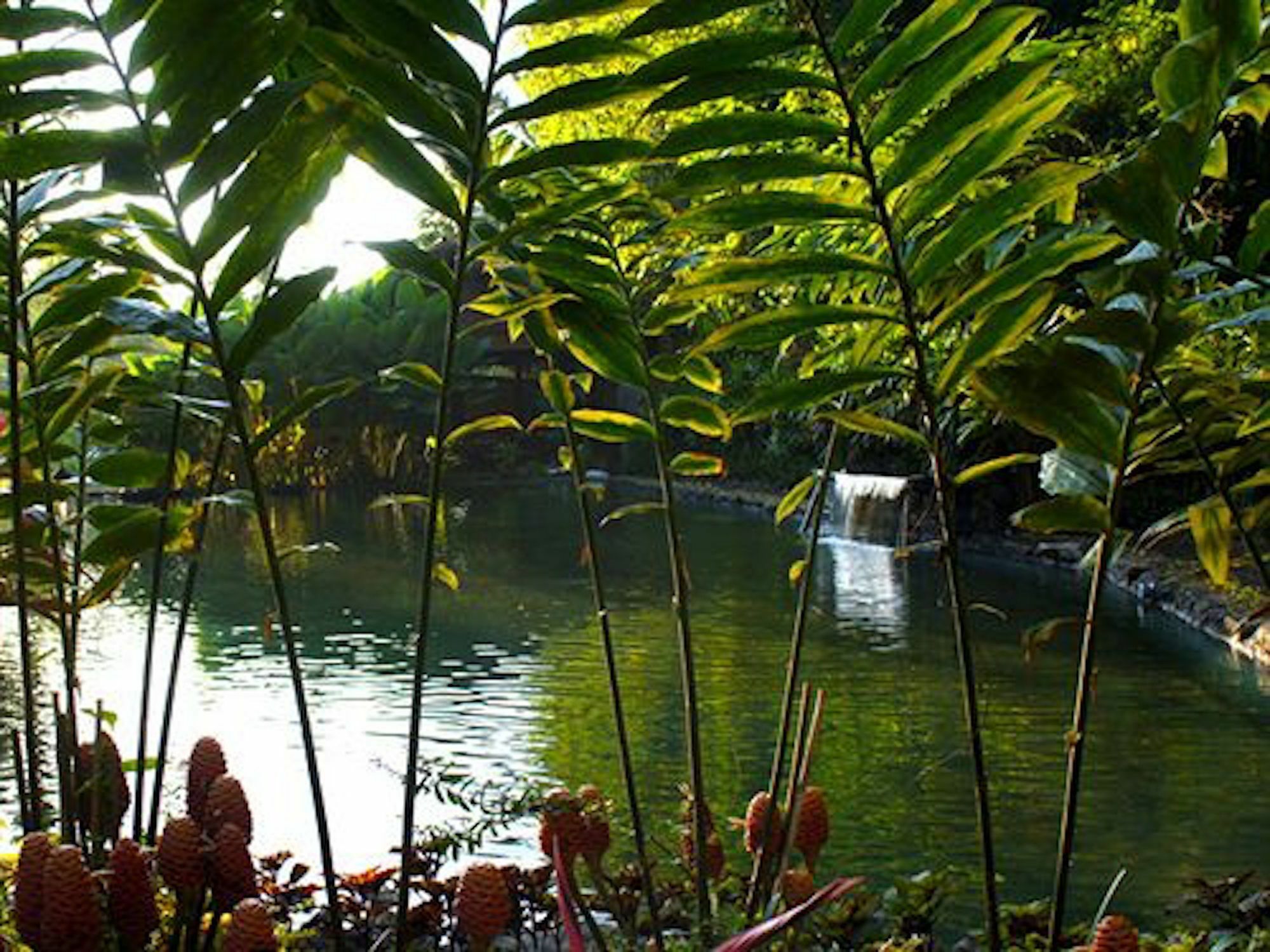 The Aura Shanti Retreat Baturiti Exterior foto